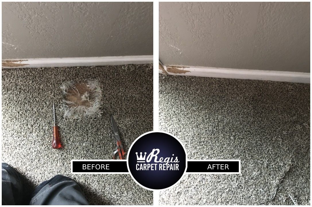 Regis Carpet Repair Image